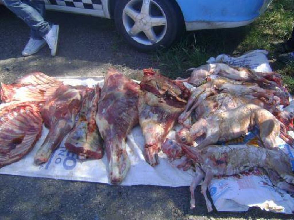 En control policial secuestran 70 Kg. de carne vacuna y 5 cabritos