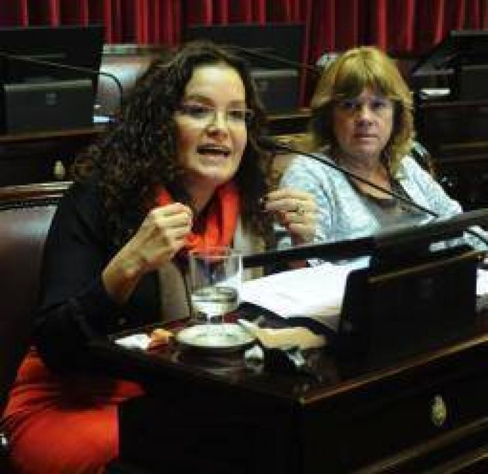Teresita Luna justific su voto en favor del militar Csar Milani