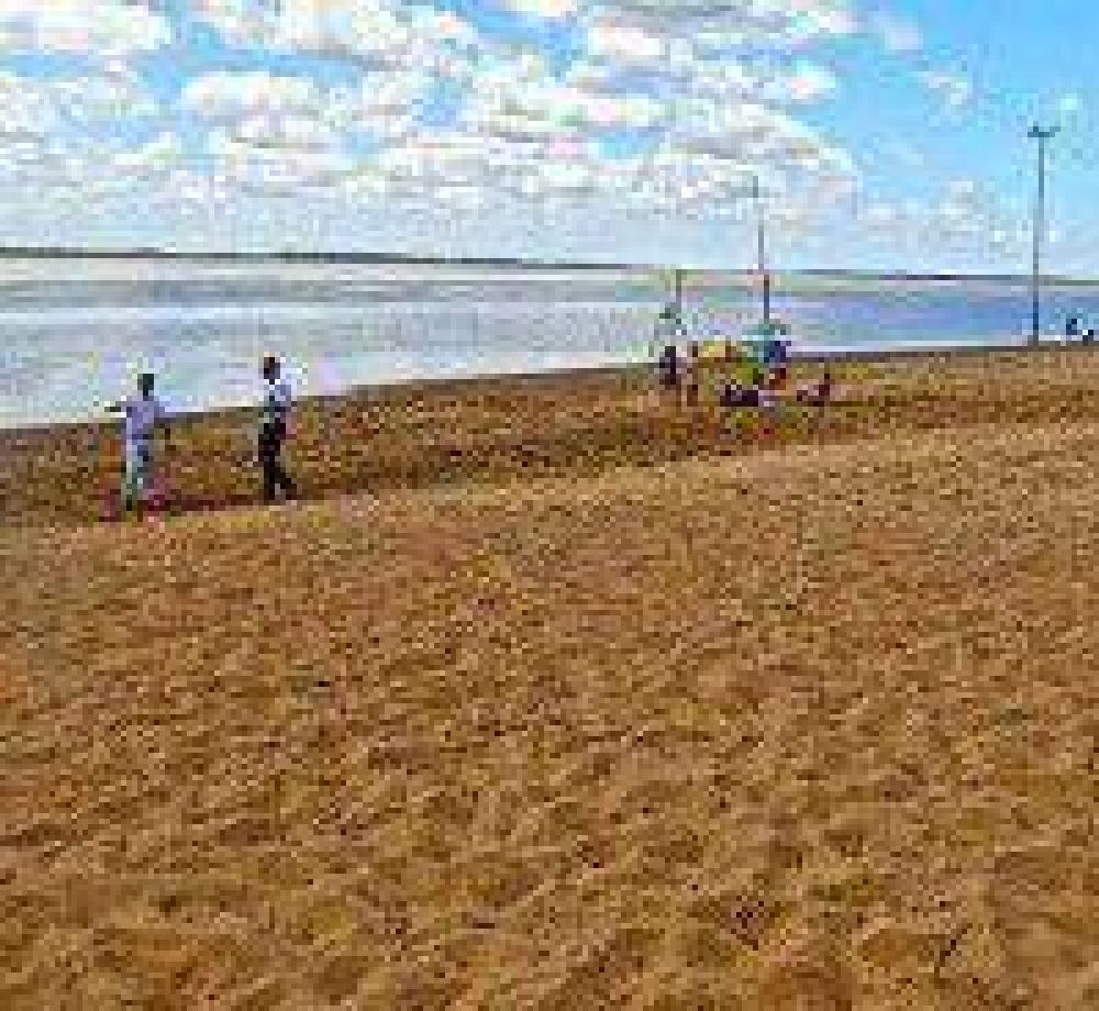 Preparan refulado para mejorar playas en Pelay
