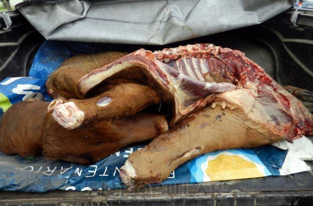 Detuvieron a una persona tras robar dos vaquillonas