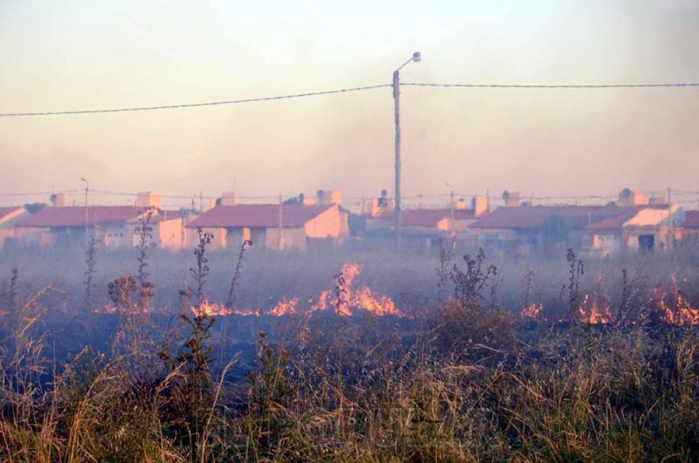 Incendios de pastos en varios sectores de la ciudad