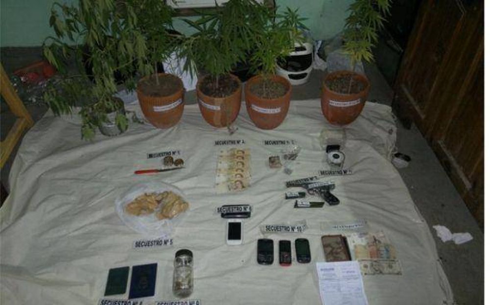 La polic�a detuvo a un delincuente que vend�a marihuana que cultivaba en su casa