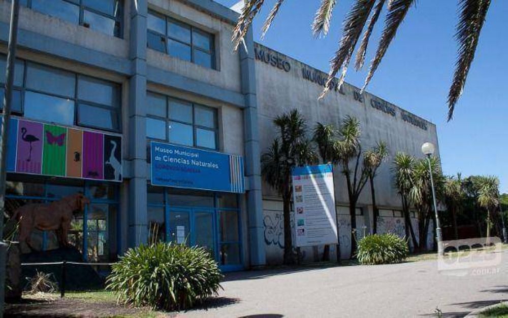 El 22 de enero ser� la "Noche de los museos"