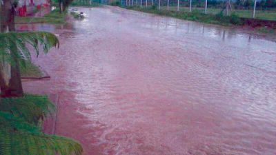 Vecinos de La Merced piden que se act�e para evitar inundaciones en rutas 68 y 21