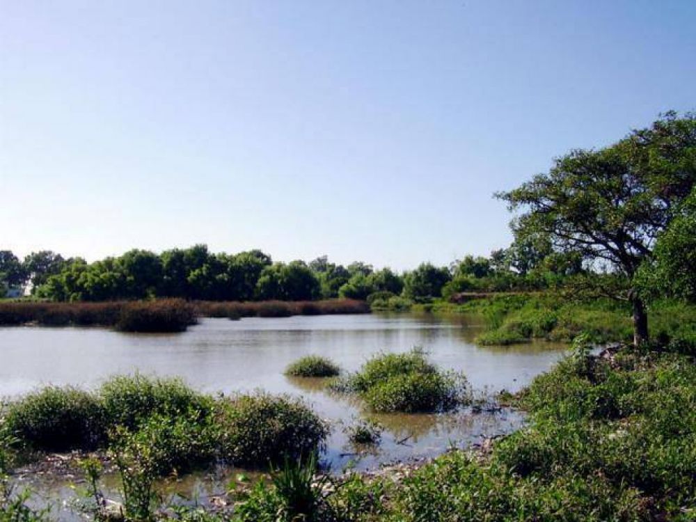 Frenan avance sobre la costa