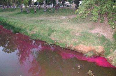 Alerta en el Arroyo: gener� preocupaci�n una mancha roja detectada en las aguas