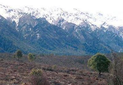 Exigen devoluci�n de tierras cedidas a extranjeros