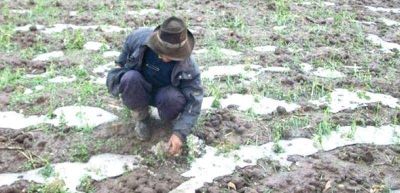 Destinar�n fondos para obras h�dricas en el NOA