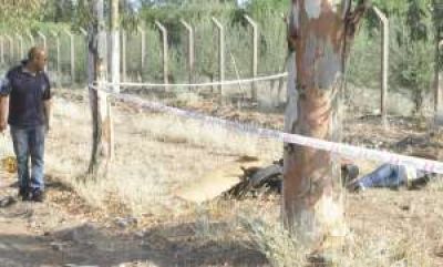 Tr�gico choque contra un �rbol en Zonda: 2 muertos