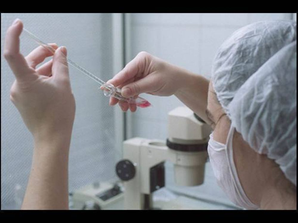 Iapos present� el programa de fertilizaci�n asistida para afiliados