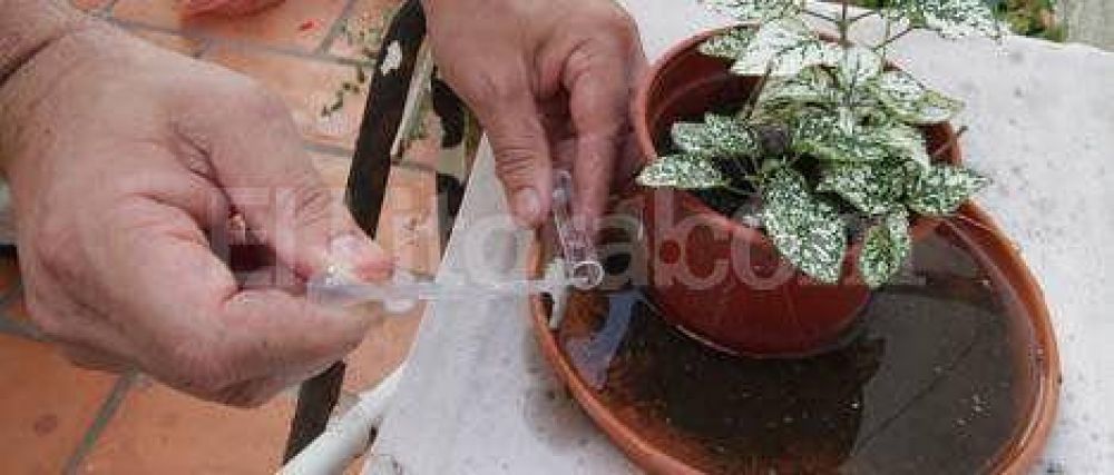 Dengue: en San Justo y Romang se detect� un alto �ndice de Aedes