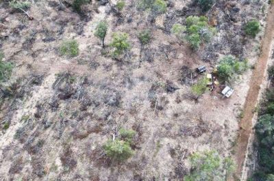 Nuevo rev�s judicial a planteos de la Direcci�n de Bosques del Chaco