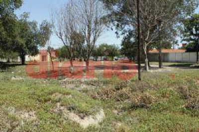 La acequia del barrio es un dep�sito de basura