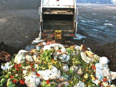 Donar alimentos: Se tiran 1.300 millones de kg de comida por d�a en todo el mundo