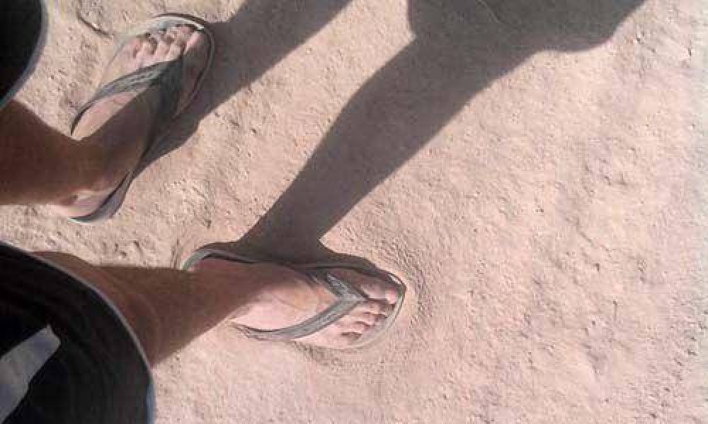 Tras los reclamos, el Municipio incorpor� 9 camiones regadores