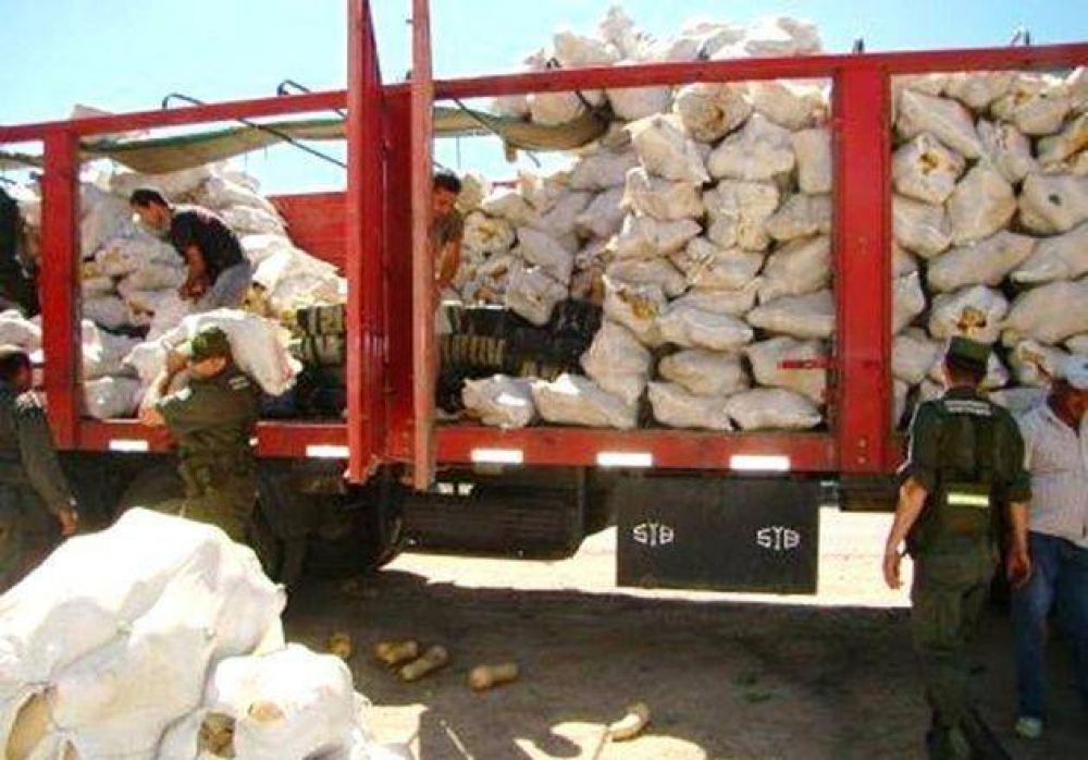 Incautan m�s de una tonelada de marihuana camuflada en cargamento de calabazas