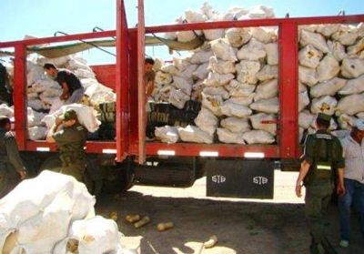 Incautan m�s de una tonelada de marihuana camuflada en cargamento de calabazas