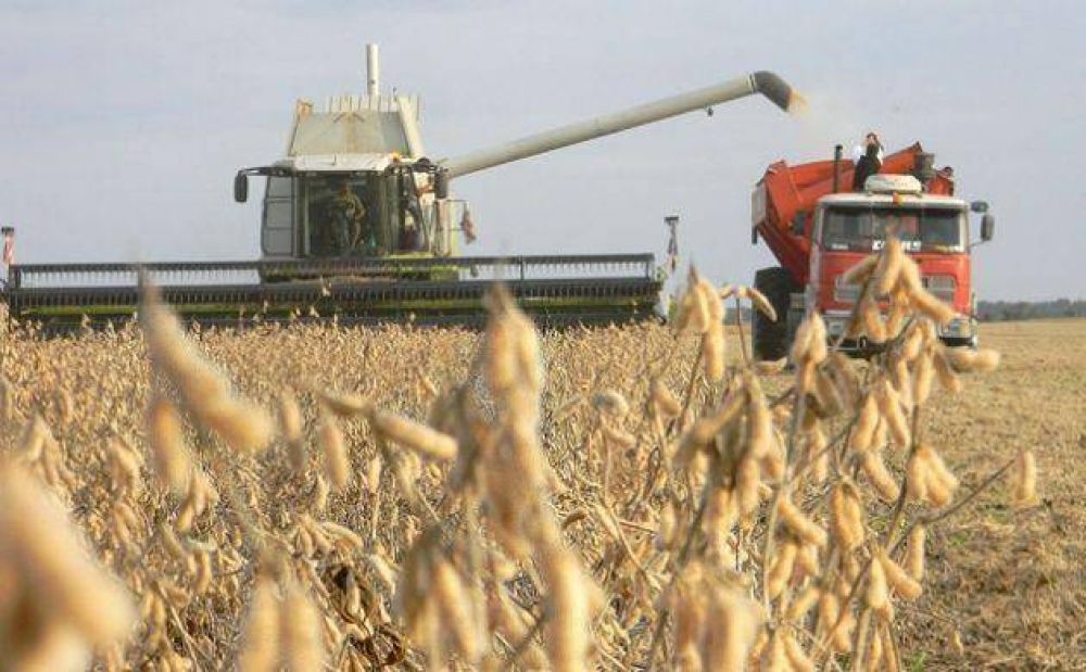 Argentina desplaz� a China como tercer productor mundial de soja