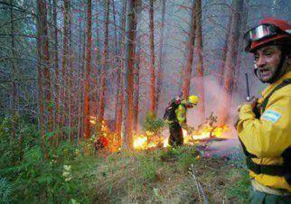 Incendio forestal destruye unas 8 hect�reas en el paraje Quechuquina 