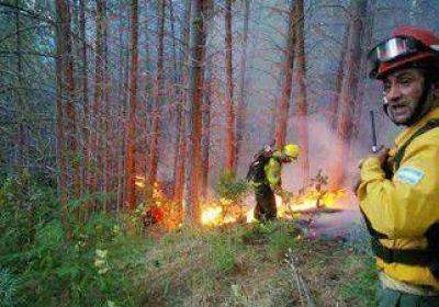 Incendio forestal destruye unas 8 hect�reas en el paraje Quechuquina 