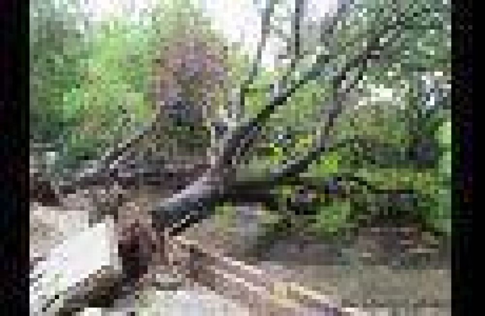 Granizo y vientos huracanados causaron destrozos en Luj�n