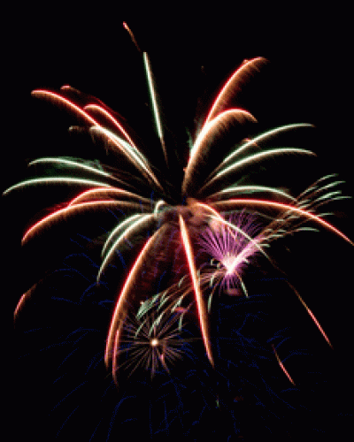 Sigue la pol�mica por la utilizaci�n de fuegos artificiales 