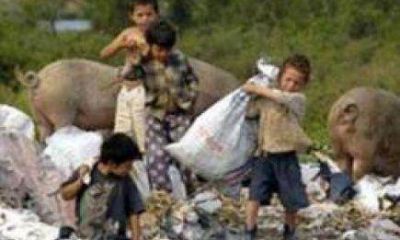 Aseguran que la pol�tica social de Misiones no genera inclusi�n