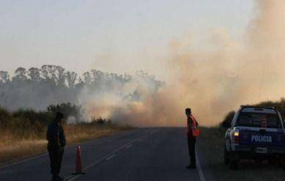 Varios incendios tuvieron en jaque a los Bomberos en la tarde de ayer