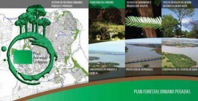 La Municipalidad lleva adelante el Plan Urbano Forestal 