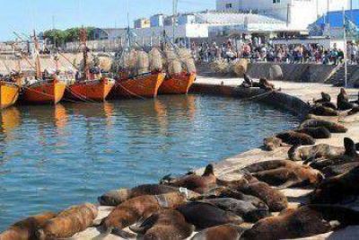 El cautivante mundo del puerto regala otras postales marplatenses