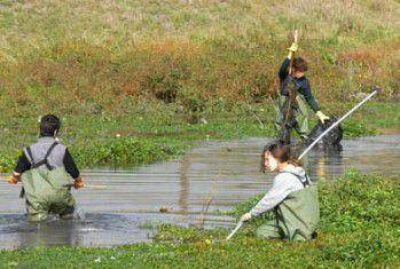 Contin�an las tareas de limpieza del arroyo La Tapera