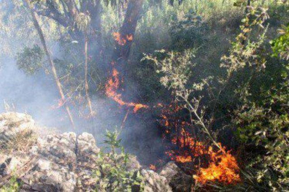 Varios incendios en las sierras obligaron a Bomberos a trabajar sin descanso