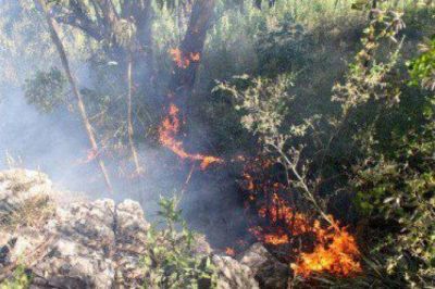 Varios incendios en las sierras obligaron a Bomberos a trabajar sin descanso