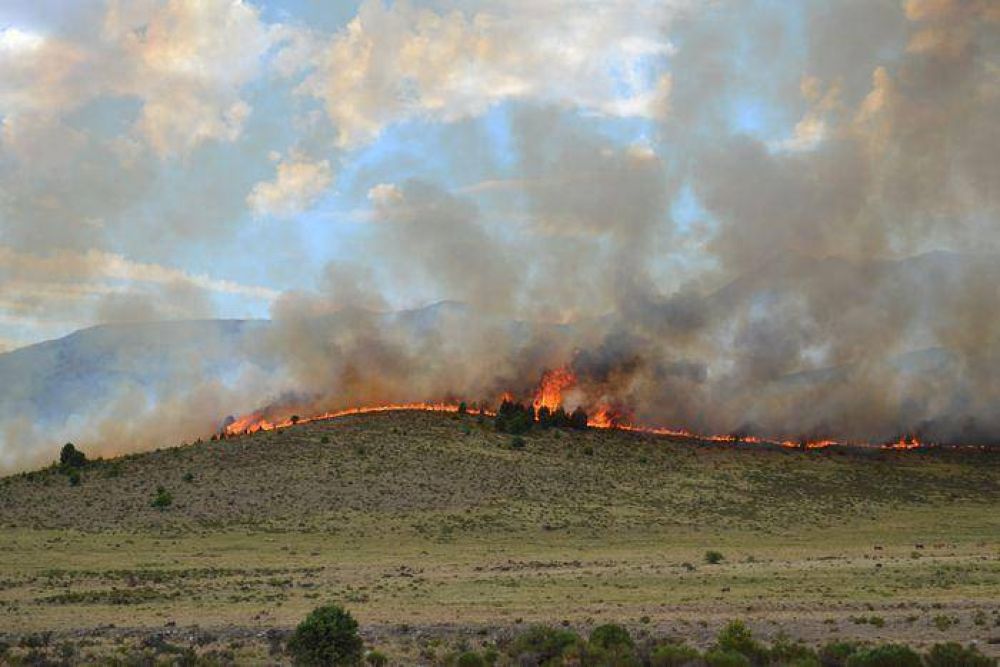 Importante incendio en el sector serrano combaten los bomberos