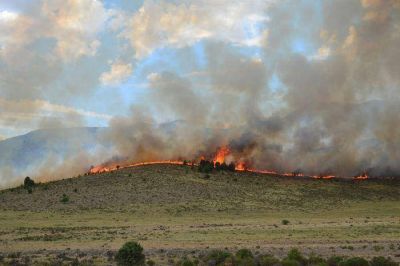 Importante incendio en el sector serrano combaten los bomberos