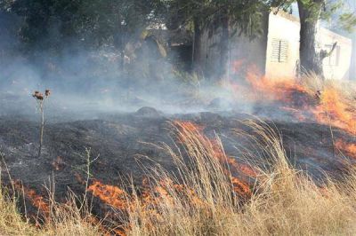 Bomberos extinguieron incendio de pastos