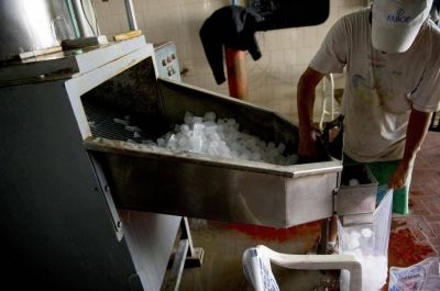 En Tucum�n, el hielo se ha convertido en oro
