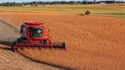 El sector agroexportador liquid� en 2013 divisas por U$S 23.200 millones