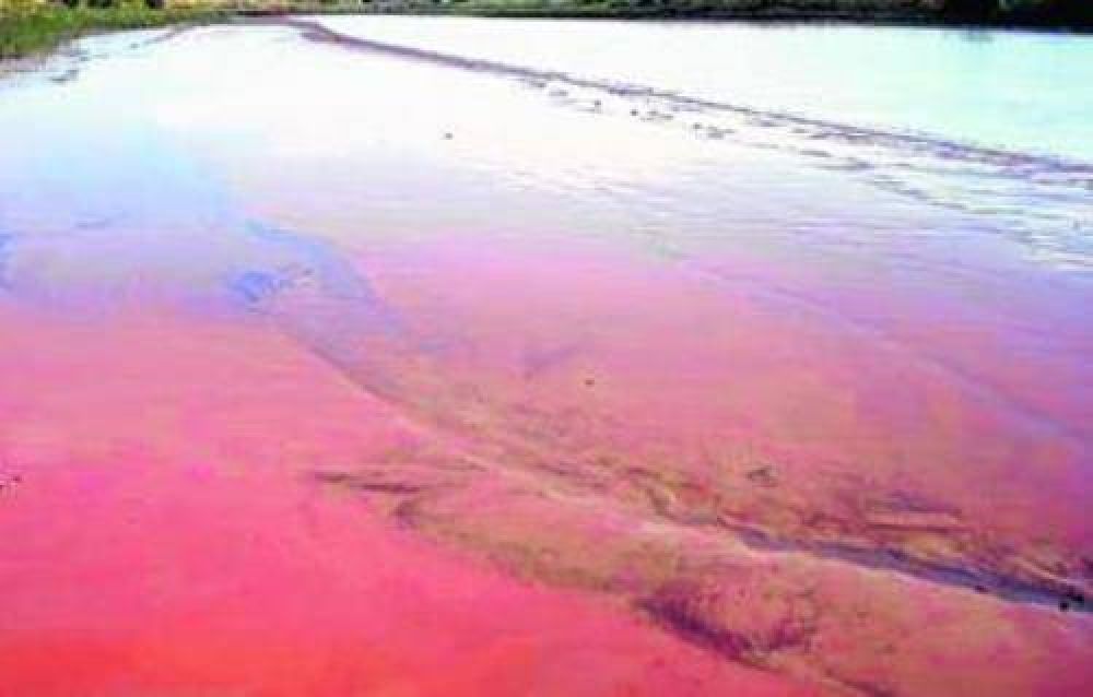 La Pampa no detect� derrames en el Colorado