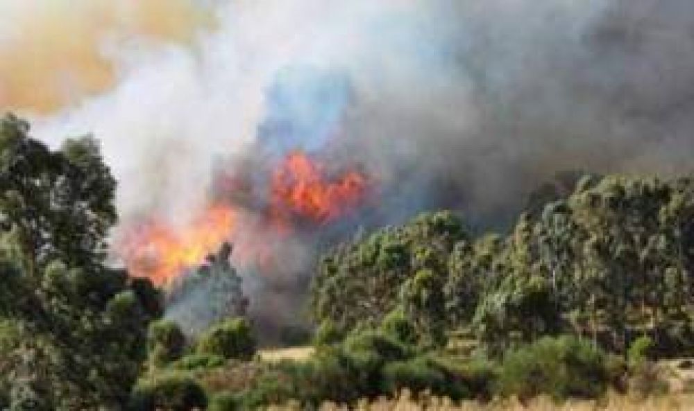 Incendio en Sierra de la Ventana: Evacuados y graves daos en la zona serrana