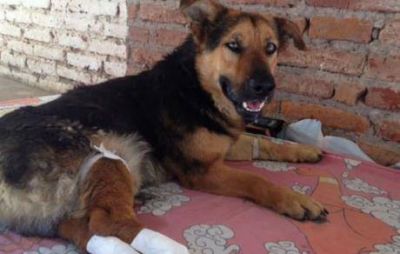 El coraz�n de Charly no resisti� el estruendo