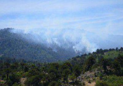 Siguen �incontrolables� por el viento los incendios 