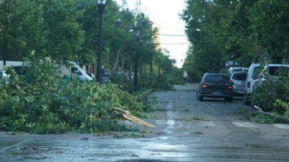 2013, el a�o de los gustnados y las olas de calor 