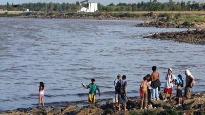 Ataque de palometas en Vicente L�pez: "Defensa Civil controla el �rea constantemente pero la gente, en muchos casos, ignora lo que se les indica"
