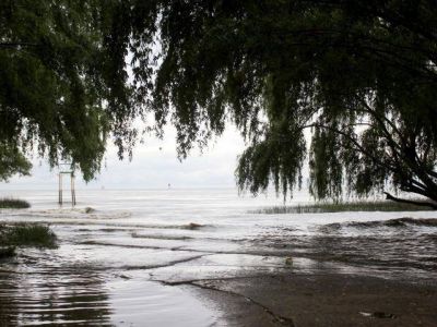 Palometas en la costa quilme�a