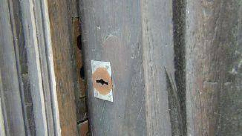 Casa de la Cultura: Vulneraron una puerta que estaba atada con un alambre