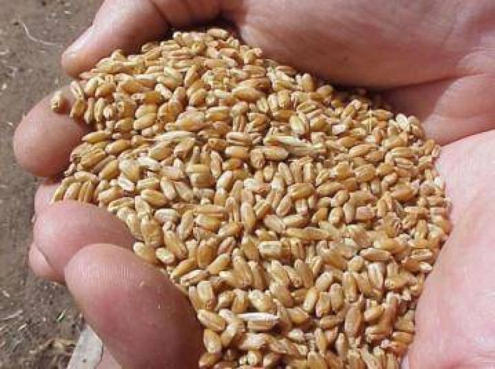 Complica al sector agropecuario la falta de precipitaciones
