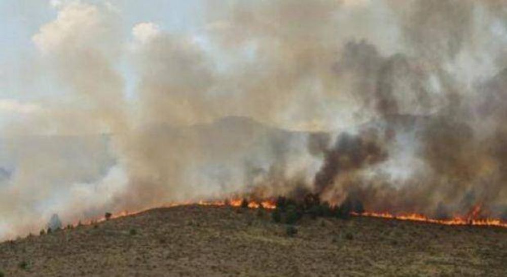 Ascienden a 45 mil las hectreas afectadas por el fuego en Sierra de la Ventana