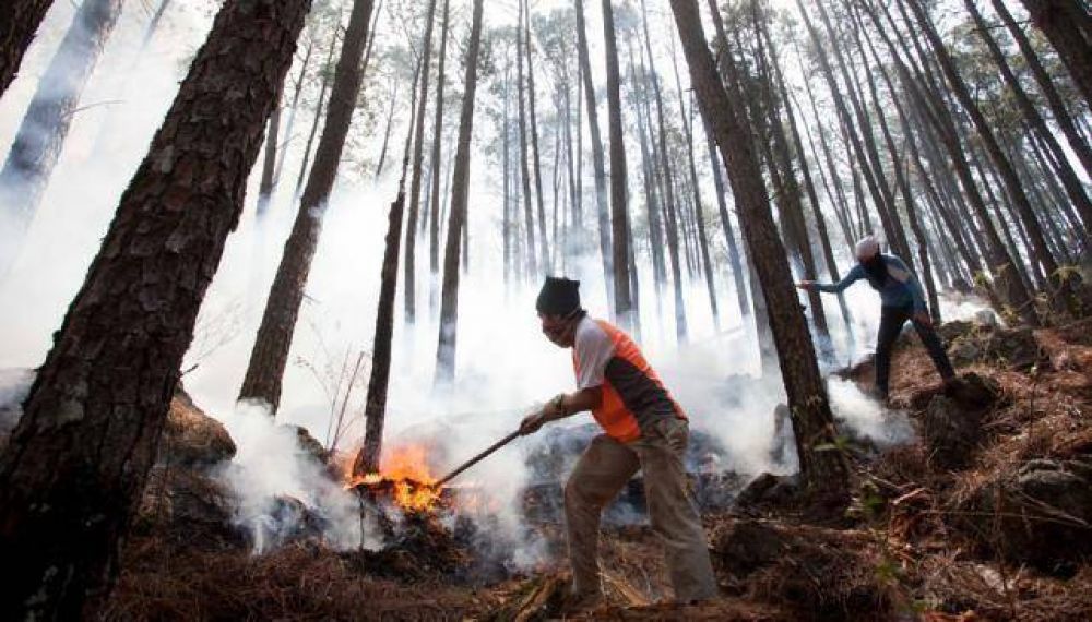 Quedan dos imputados por los incendios de 100 mil hect�reas
