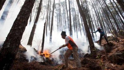 Quedan dos imputados por los incendios de 100 mil hect�reas